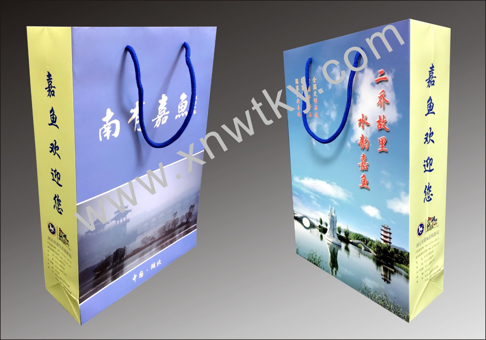 手提袋、会议袋、无纺布袋-4